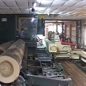 11K views · 84 reactions | Automated saw mill operation | Amazing idea | Facebook