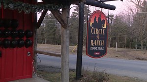 Horse carriage company speaks out after New Year's Eve crash