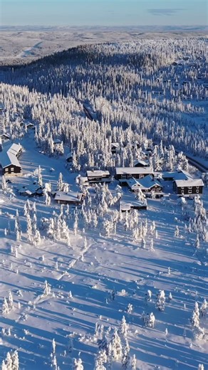 Vi lovar, Villa Backner kommer bli din nya favorit på Gammelgården ❤️❤️ Snart kommer fler bilder och mer information, tills dess, läs mer på vår hemsida! www.gammelgarden.se | Gammelgården Hotell & Restaurang