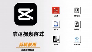 常见的视频格式#视频格式#常见视频格式#视频剪辑
