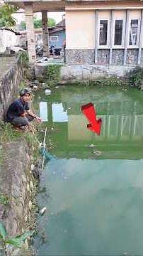 THIS IS THE RESULT OF SETTING A 12-METER DRAGON TRAP IN AN ABANDONED POND