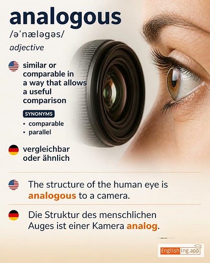 Analogous: English vocabulary meaning and example