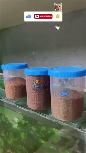 Dekho😱kya huaa #trending #funny #youtubeshorts #shortsfeed #shorts #share #vlog #food #viral #views