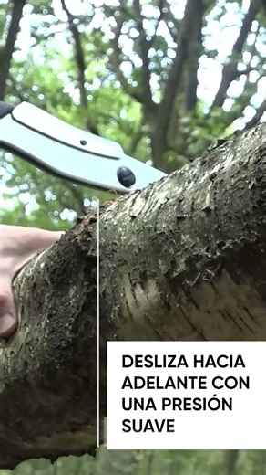 📹 [VIDEOTUTORIAL SILKY] #Shorts