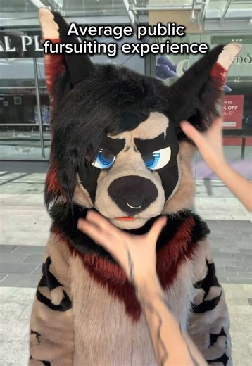 The Furry Community: Understanding the Culture and Connections