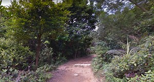 Hiker rescued after falling down cliffside and getting trapped overnight | Coconuts