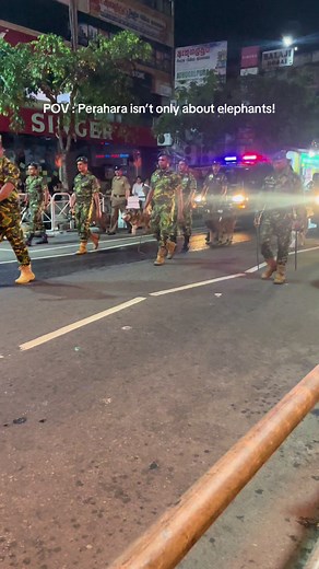 Exploring Police Dogs at Kandy Perahara Festival