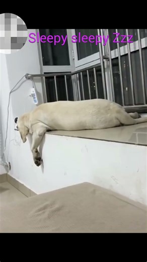 Get ready to laugh!😂