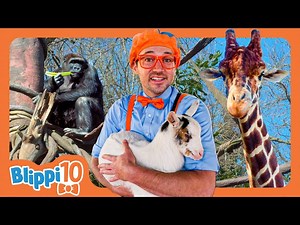 Blippi's BEST Animal Episodes! | Educational Videos for Kids | Blippi and Meekah Kids TV - Videos For Kids