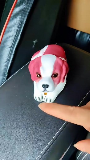 Perfect Gift for Dog Lovers | Gadget Ninja