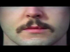 The Winged Beatle - l : ll Crashed version