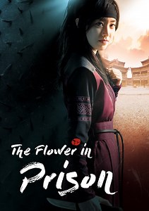 The Flower in Prison Season 1 (2016), Watch Full Episodes Online on TVOnic