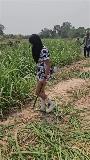 Building a House in Rural Northeast Thailand