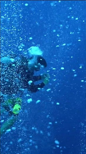 パラオ ペリリューエクスプレスで強烈なダウンカレントでの安全停止 #shorts