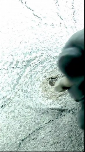 instonefossils on TikTok