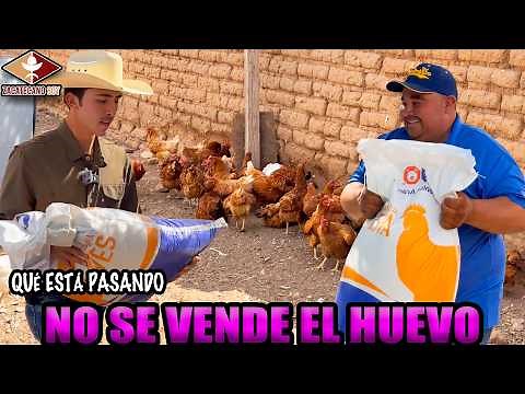 NUESTRO ÚNICO PROYECTO EXITOSO ¿A punto de terminar?