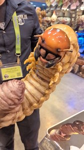 3.6M views · 2K reactions | The GRUB from Shattered FX! A new handheld silicone prop perfect for guest interacting. He's so cute! #transworld #hauntlife #hauntedhouse #hauntedattraction | Haunted Attraction Network | Facebook