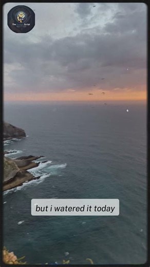 The Secret to Happiness from a Flower Seller. #inspiration #humanity