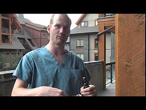 Collielife - Rough Collie Grooming Guide