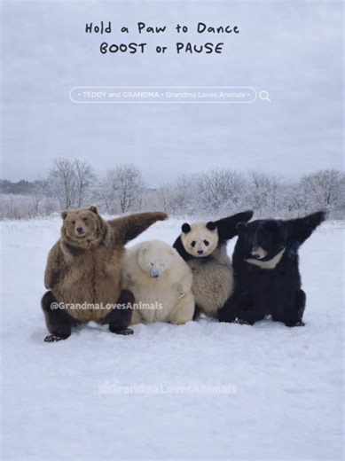 Teddy Bears Dance: A Fun Video Guide