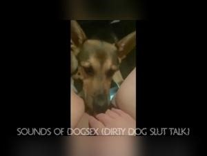 hund sexgeräusche schmutzige versuchung