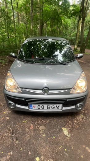 Sharan Power: Unleashing Potential Behind the Wheel