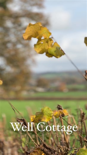 Looking over the Dorset Countryside and through the autumnal leaves towards the nestled gem of Well Cottage. #Englishcountryside #thatchedgem #visitdorset | English Cottage Vacation