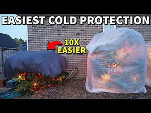 This Is The EASIEST Cold Protection Method In The World!