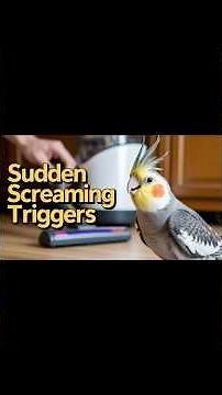 Why Cockatiels 😱 Scream?? #birds