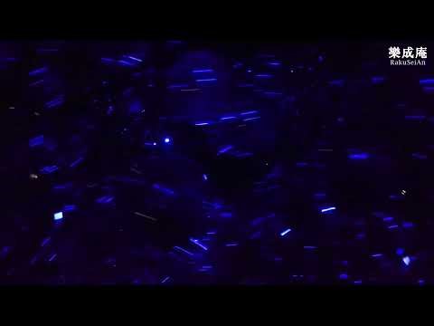 チームラボ バイオヴォルテックス京都 teamLab☆Biovortex Morphing Continuum 京の年中行事