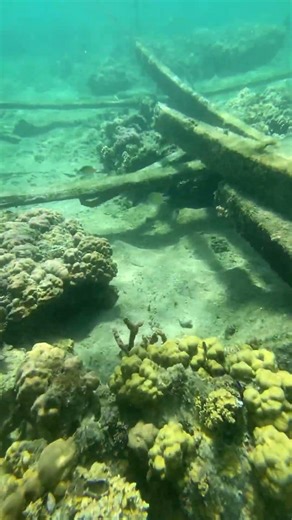 Liat ikan lagi berenang 😭 #fandimo