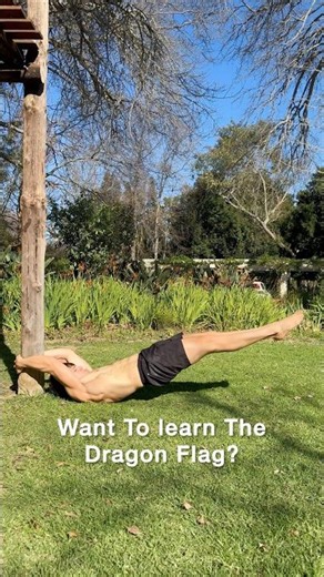 The Ultimate Core Exercise #dragonflag #coreworkout #calisthenics