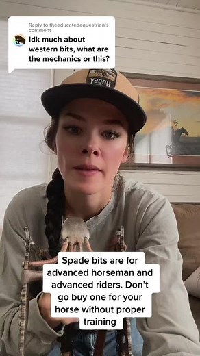 Understanding the Spade Bit in Horsemanship