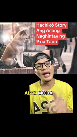 Hachikō Story Ang Asong Naghintay ng 9 na Taon sa kanyang amo #hachiko #truestory #doglover | Jonathan Companiados