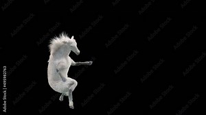 White Horse Dancing, 3d rendering, Animation Loop, cartoon, included in the end of the clip with Alpha matte.