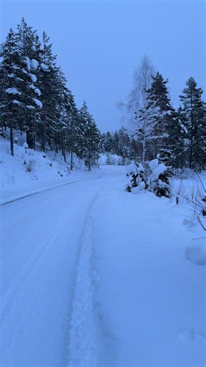 Andreas Vik on Instagram: "Polar express! #s14"
