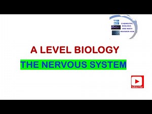 A level | Biology | Topic 8A | The Nervous System | Pearson Edexcel
