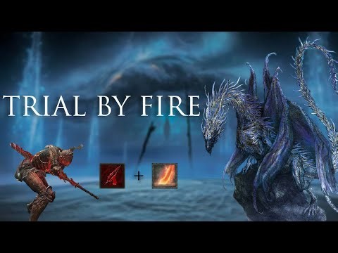 Executor Burns down EVERYTHING with this Build