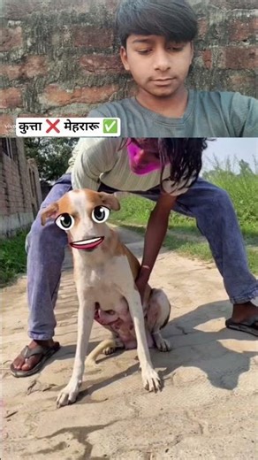 कुत्ता ❌ मेहरारू ✅ #explorepage #reels #instareels #love #reelsinstagram #love #trendingreels #funny