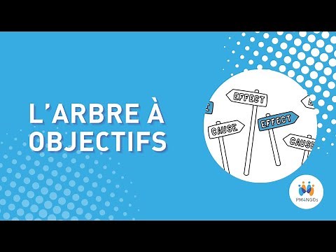 L’arbre à objectifs: Project DPro (PMD Pro)