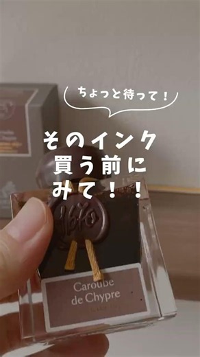 そのインク買う前にこれ見て👀 #カリグラフィー #インテリア #writing #手書き #ink #インク沼 #文房具