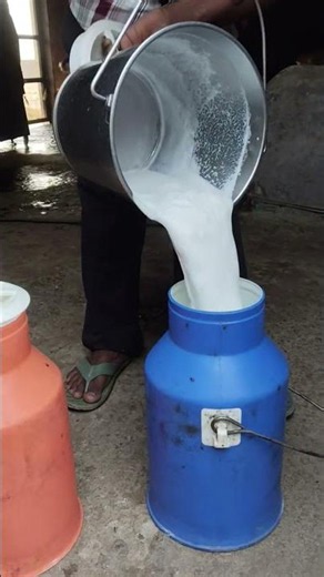 सुबह उठते ही आपके पास काम है ✅🙏💯 #viralvideo #farming #milking #shortvideo #trending #viralshorts