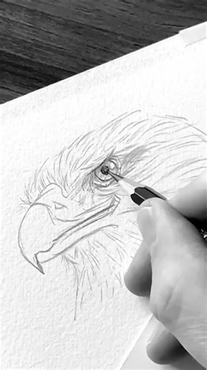 Der Blick des Adlers entscheidet über die Wirkung der ganzen Zeichnung. Ich zeige dir, worauf es bei Form, Lid und Tiefe wirklich ankommt. #Zeichnen #Kunst #Tutorial #Bleistifte #ZeichnenLernen #Adler #AugenZeichnen #RealistischZeichnen #SchmidtsZeichenwelt