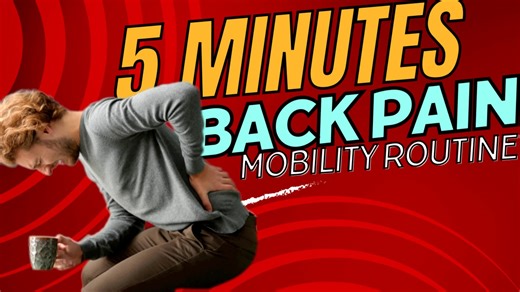 5 minutes BACK PAIN daily mobility routine!! 🤩 | Physical Therapy Session