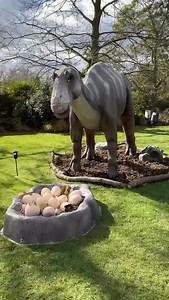 488K views · 1.6K reactions | Dublin Zoo has launched its ‘Zoorassic Trail’. It opens to the public tomorrow and runs until after the summer. It doesn’t cost extra on top of tickets or passes. | Dublin's Q102 | Facebook