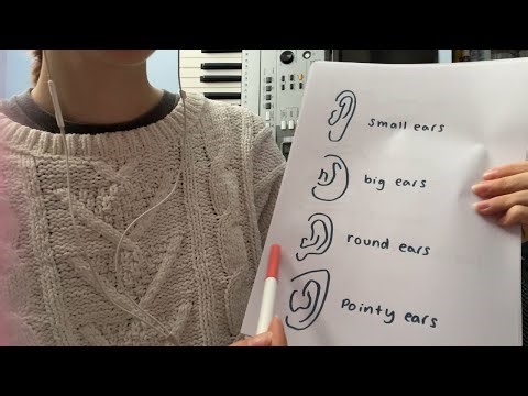 asmr facial surgery (customising your face)