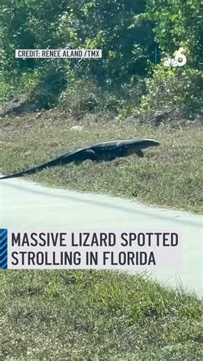 551K views · 1.6K reactions | A driver in Florida did a double take...
