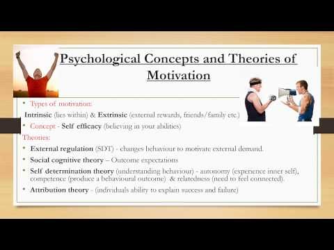 Psychology Case Study Presentation