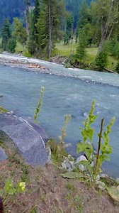 4.5K views · 532 reactions | #kumratvalley #beaty #Nature | Kumrat valley | Facebook