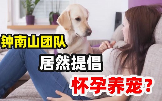 怀孕就要弃养猫狗？不好意思，钟南山团队辟谣了